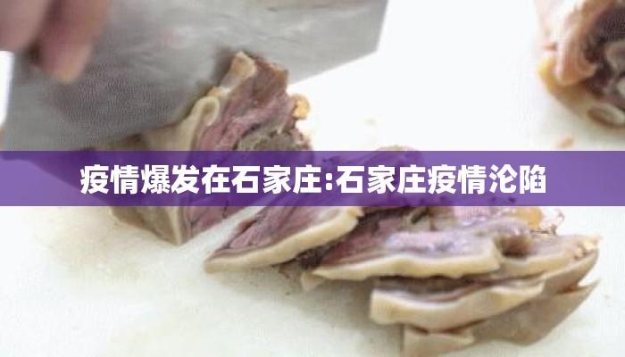 疫情爆发在石家庄:石家庄疫情沦陷
