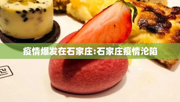 疫情爆发在石家庄:石家庄疫情沦陷