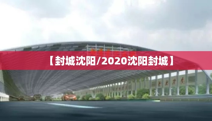 【封城沈阳/2020沈阳封城】