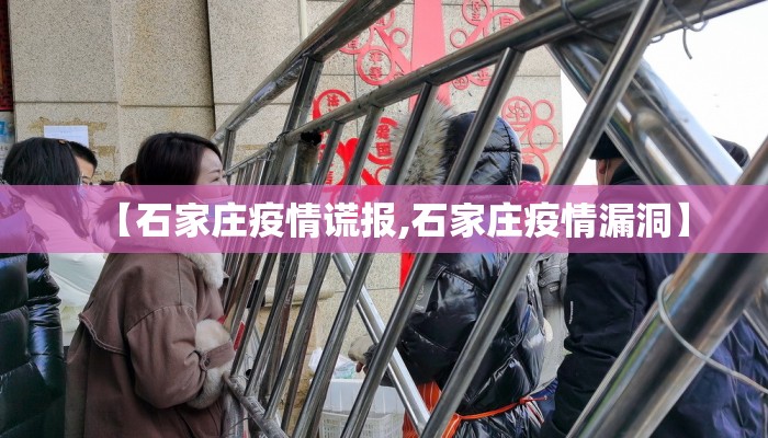 【石家庄疫情谎报,石家庄疫情漏洞】