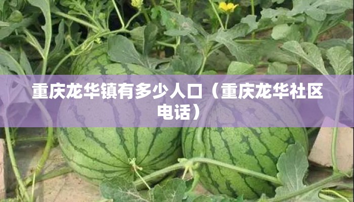 重庆龙华镇有多少人口（重庆龙华社区电话）