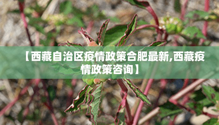 【西藏自治区疫情政策合肥最新,西藏疫情政策咨询】 【西藏自治区疫情政策合肥最新,西藏疫情政策咨询】