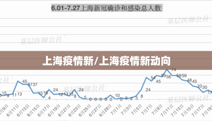 上海疫情新/上海疫情新动向