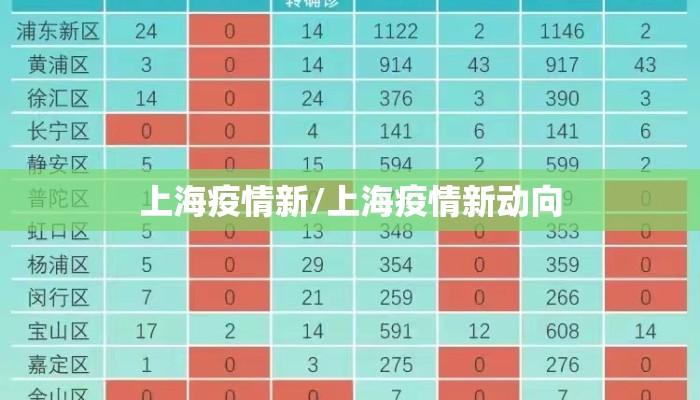 上海疫情新/上海疫情新动向
