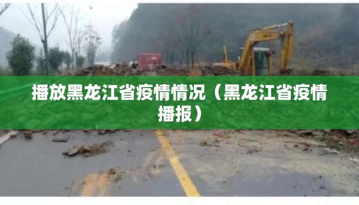 播放黑龙江省疫情情况（黑龙江省疫情播报）