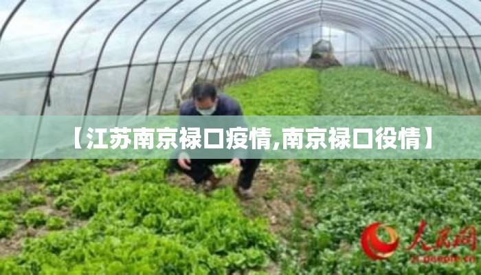 【江苏南京禄口疫情,南京禄口役情】