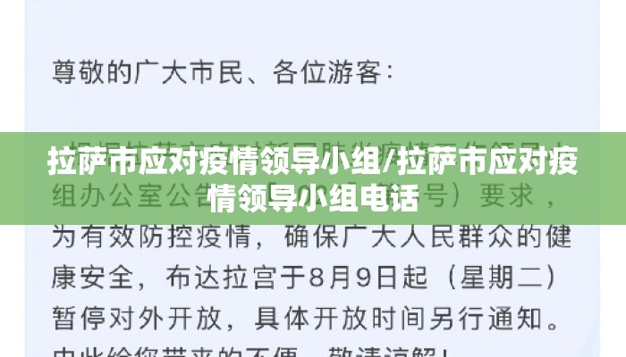 拉萨市应对疫情领导小组/拉萨市应对疫情领导小组电话 拉萨市应对疫情领导小组/拉萨市应对疫情领导小组电话