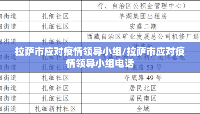 拉萨市应对疫情领导小组/拉萨市应对疫情领导小组电话 拉萨市应对疫情领导小组/拉萨市应对疫情领导小组电话