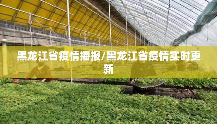 黑龙江省疫情播报/黑龙江省疫情实时更新 黑龙江省疫情播报/黑龙江省疫情实时更新