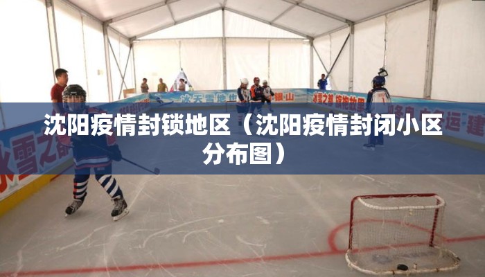 沈阳疫情封锁地区（沈阳疫情封闭小区分布图）