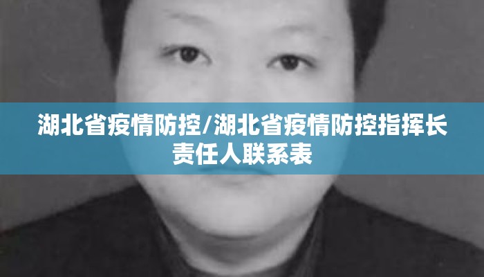 湖北省疫情防控/湖北省疫情防控指挥长责任人联系表 湖北省疫情防控/湖北省疫情防控指挥长责任人联系表