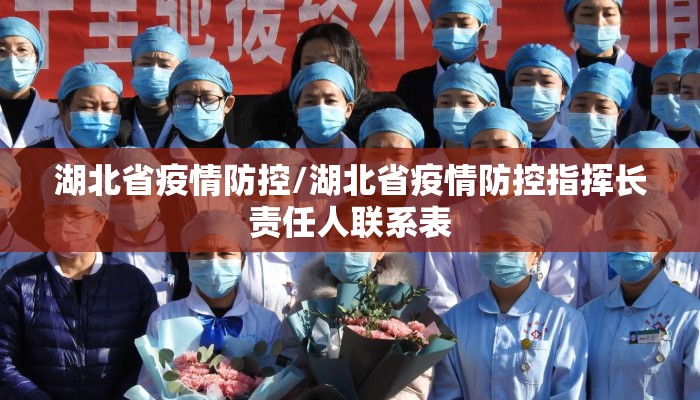 湖北省疫情防控/湖北省疫情防控指挥长责任人联系表 湖北省疫情防控/湖北省疫情防控指挥长责任人联系表