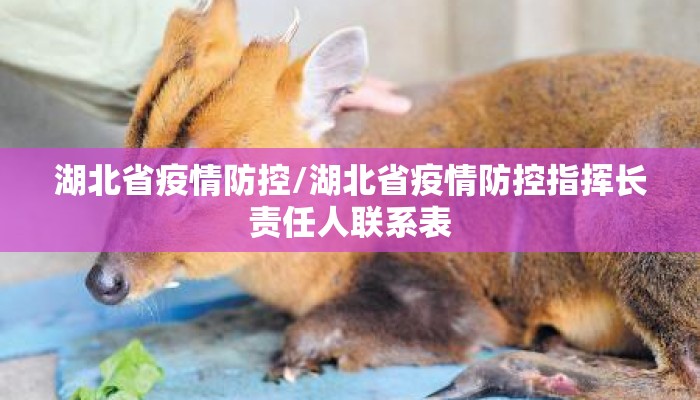 湖北省疫情防控/湖北省疫情防控指挥长责任人联系表 湖北省疫情防控/湖北省疫情防控指挥长责任人联系表