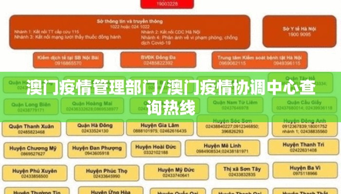 澳门疫情管理部门/澳门疫情协调中心查询热线