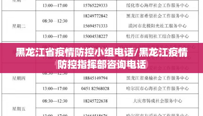黑龙江省疫情防控小组电话/黑龙江疫情防控指挥部咨询电话