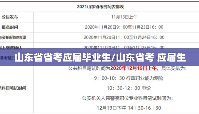 山东省省考应届毕业生/山东省考 应届生