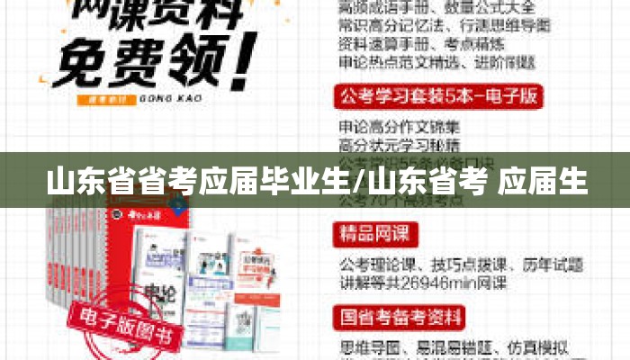 山东省省考应届毕业生/山东省考 应届生