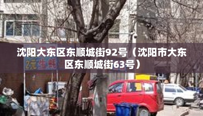 沈阳大东区东顺城街92号（沈阳市大东区东顺城街63号）