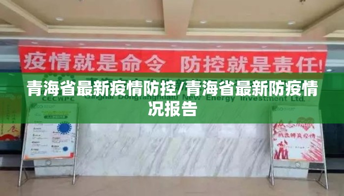 青海省最新疫情防控/青海省最新防疫情况报告