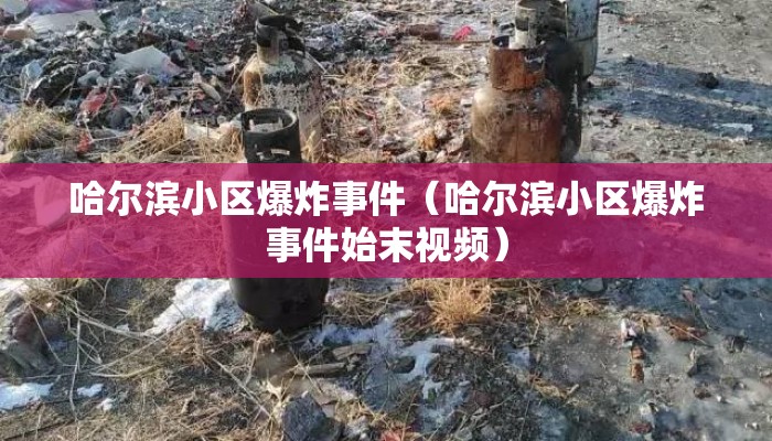 哈尔滨小区爆炸事件（哈尔滨小区爆炸事件始末视频）