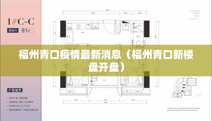 福州青口疫情最新消息（福州青口新楼盘开盘）