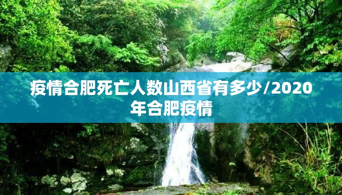 疫情合肥死亡人数山西省有多少/2020年合肥疫情