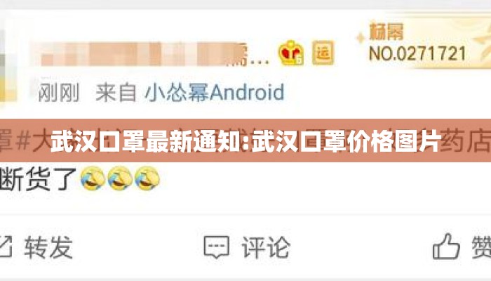 武汉口罩最新通知:武汉口罩价格图片