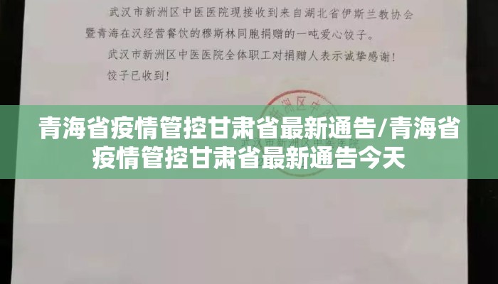 青海省疫情管控甘肃省最新通告/青海省疫情管控甘肃省最新通告今天