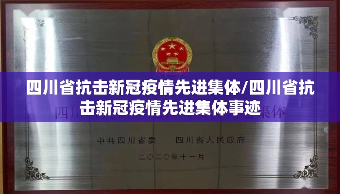 四川省抗击新冠疫情先进集体/四川省抗击新冠疫情先进集体事迹