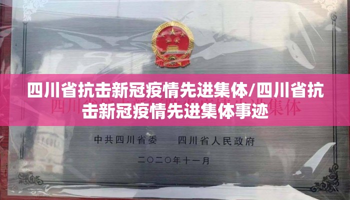 四川省抗击新冠疫情先进集体/四川省抗击新冠疫情先进集体事迹