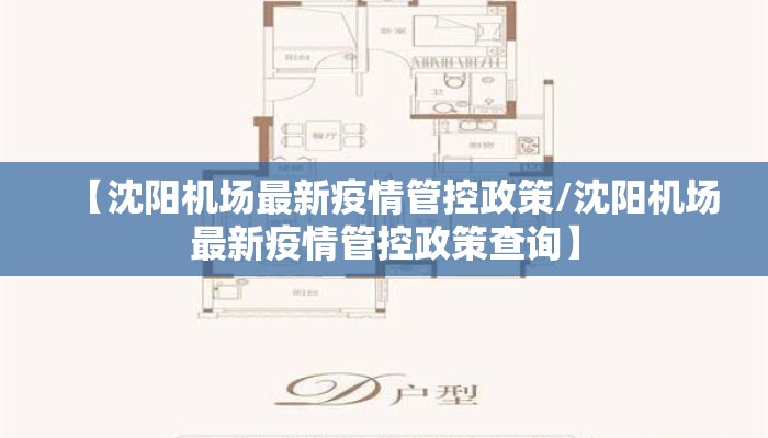 【沈阳机场最新疫情管控政策/沈阳机场最新疫情管控政策查询】