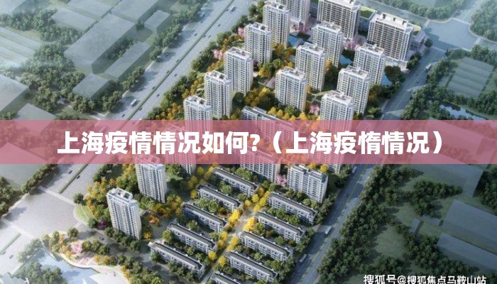 上海疫情情况如何?（上海疫惰情况）