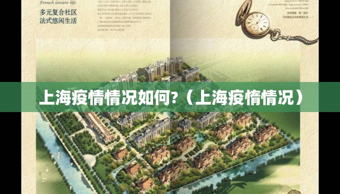 上海疫情情况如何?（上海疫惰情况）