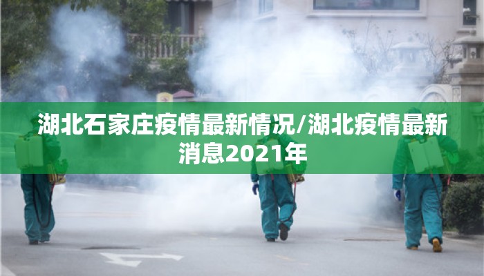 湖北石家庄疫情最新情况/湖北疫情最新消息2021年