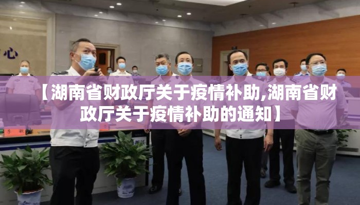 【湖南省财政厅关于疫情补助,湖南省财政厅关于疫情补助的通知】