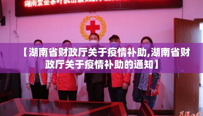 【湖南省财政厅关于疫情补助,湖南省财政厅关于疫情补助的通知】