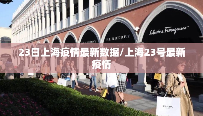 23日上海疫情最新数据/上海23号最新疫情
