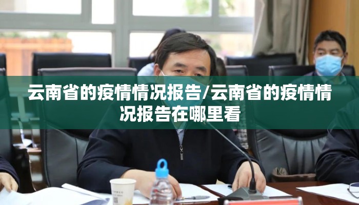 云南省的疫情情况报告/云南省的疫情情况报告在哪里看