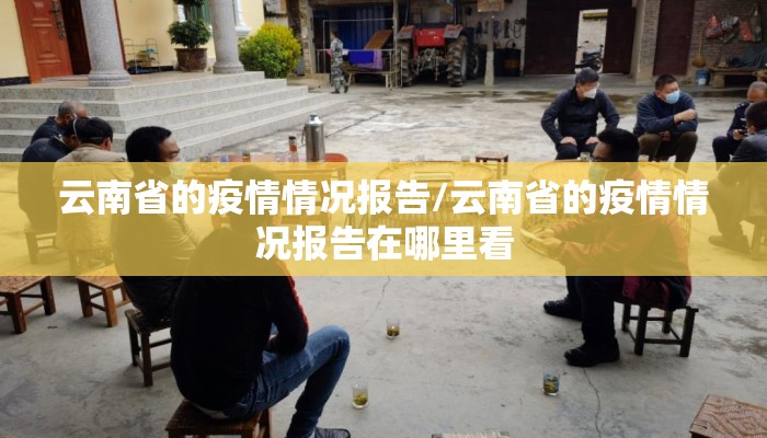 云南省的疫情情况报告/云南省的疫情情况报告在哪里看