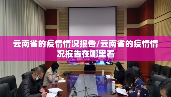 云南省的疫情情况报告/云南省的疫情情况报告在哪里看