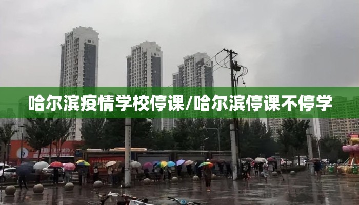 哈尔滨疫情学校停课/哈尔滨停课不停学