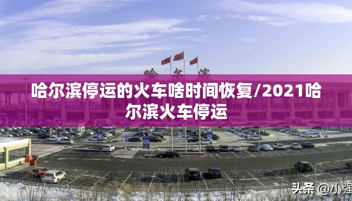 哈尔滨停运的火车啥时间恢复/2021哈尔滨火车停运