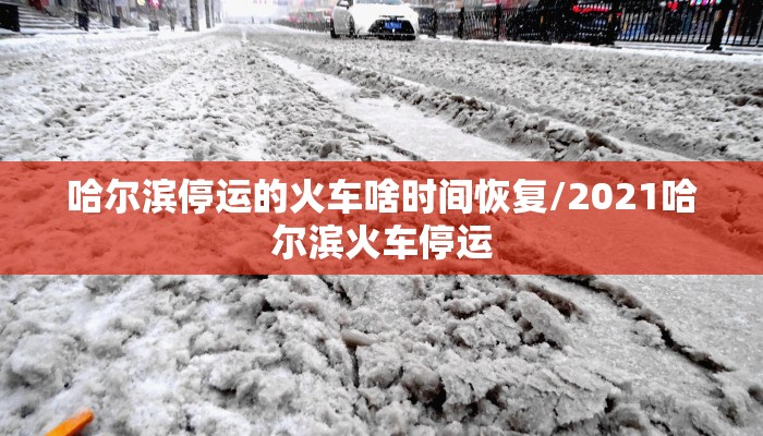 哈尔滨停运的火车啥时间恢复/2021哈尔滨火车停运