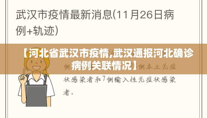 【河北省武汉市疫情,武汉通报河北确诊病例关联情况】