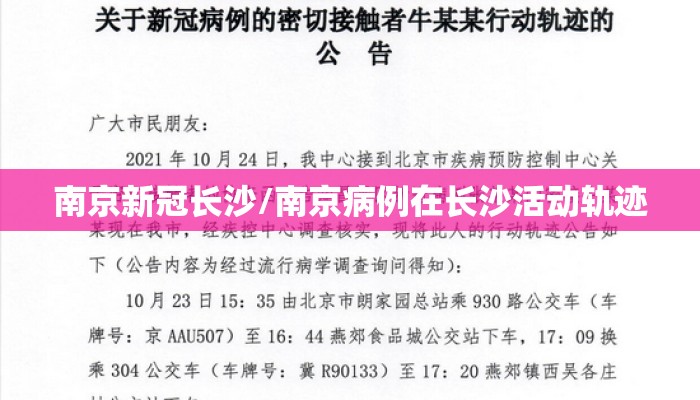 南京新冠长沙/南京病例在长沙活动轨迹