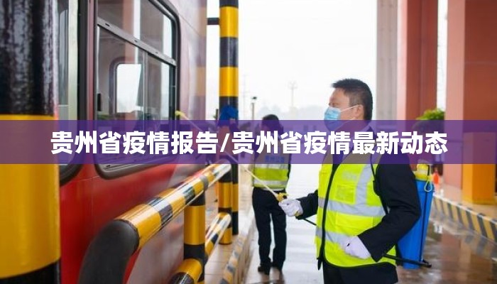 贵州省疫情报告/贵州省疫情最新动态