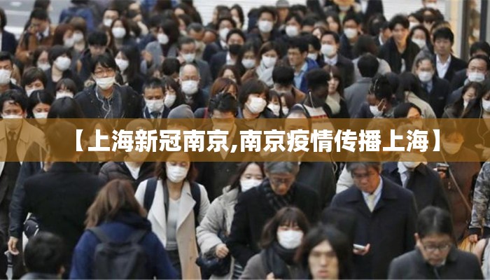 【上海新冠南京,南京疫情传播上海】