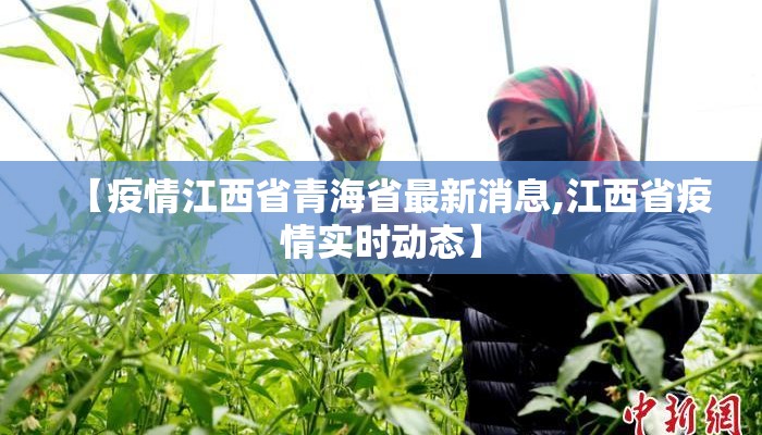 【疫情江西省青海省最新消息,江西省疫情实时动态】