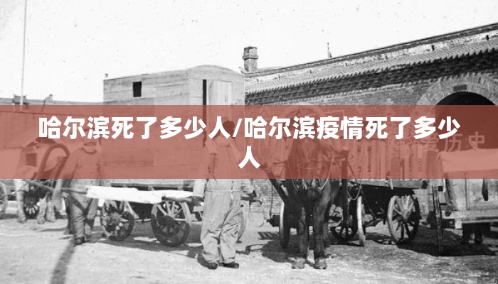 哈尔滨死了多少人/哈尔滨疫情死了多少人