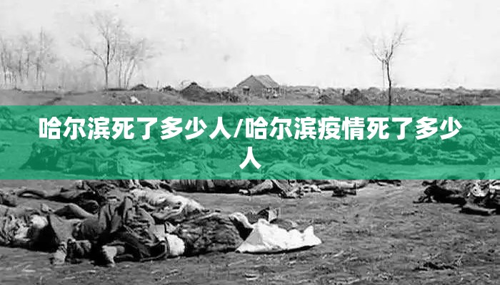 哈尔滨死了多少人/哈尔滨疫情死了多少人